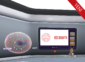 EBA VR İçerikleri